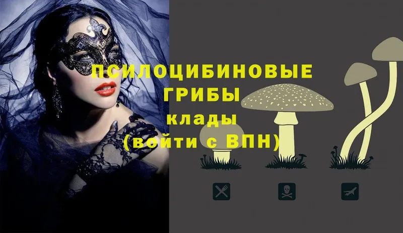 Псилоцибиновые грибы Magic Shrooms  Муравленко 